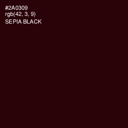 #2A0309 - Sepia Black Color Image